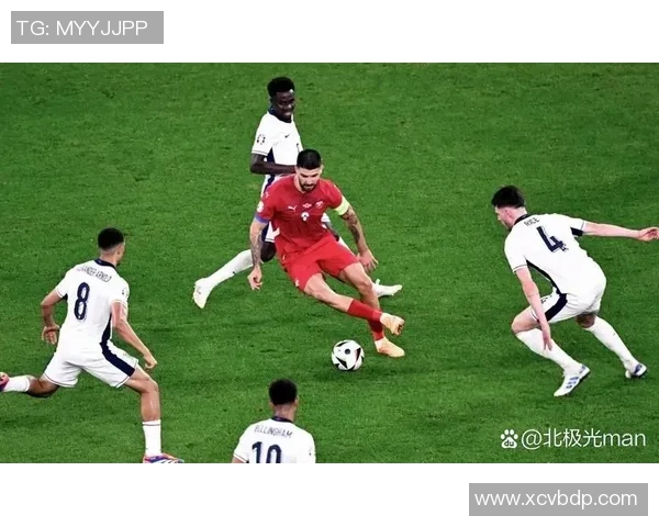 塞尔维亚足球明星盘点及其在国际赛场上的辉煌成就