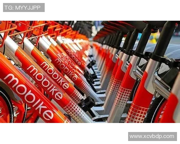 广州排球队灵活性创新高引发关注排球运动新风潮即将掀起