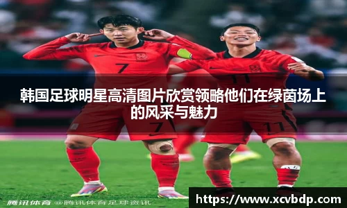 利记sbobet