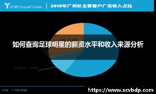 如何查询足球明星的薪资水平和收入来源分析